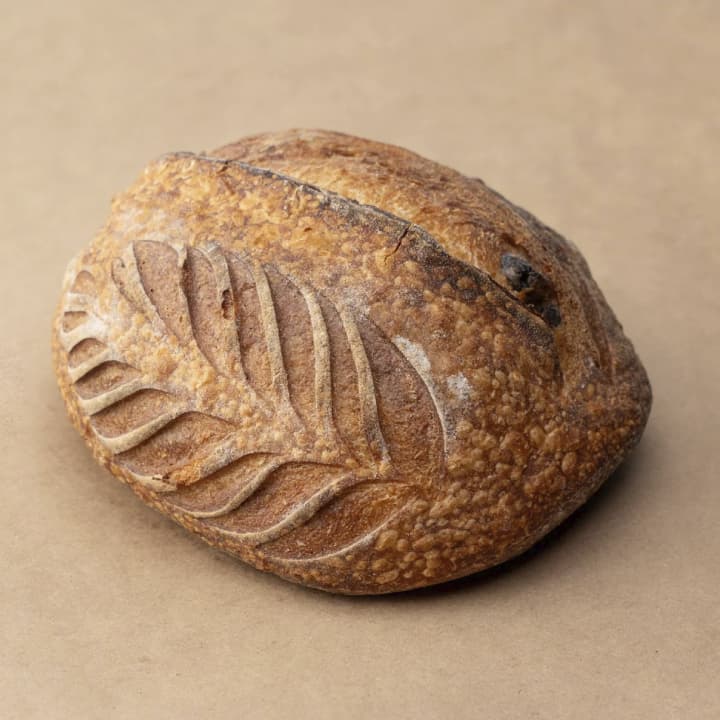 MEDITERRANEO